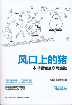 风口上的猪：一本书看懂互联网金融